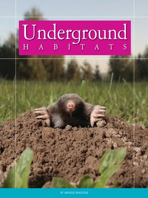 cover image of Underground Habitats